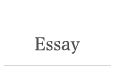 Essay